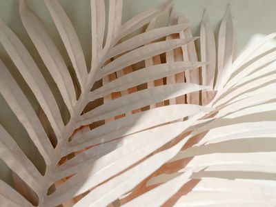 Bright and clean yoga studio with minimal decor